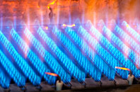 Winllan gas fired boilers